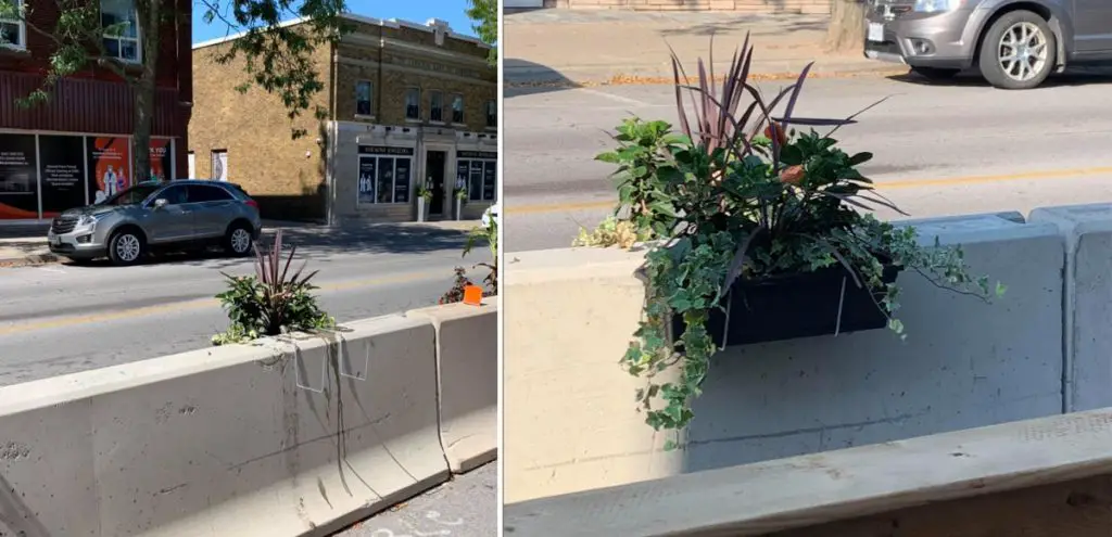 Flower box is back in Grimsby