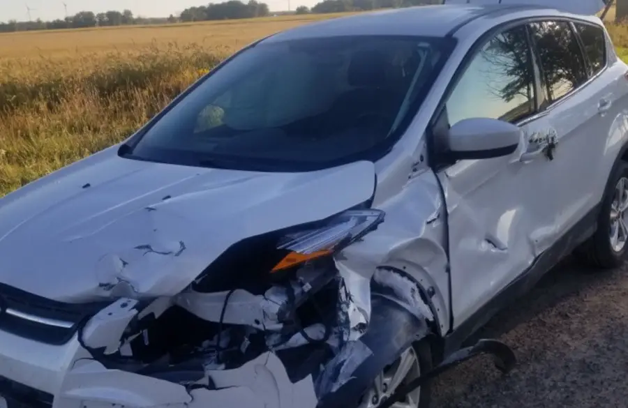 Motorist hits deer