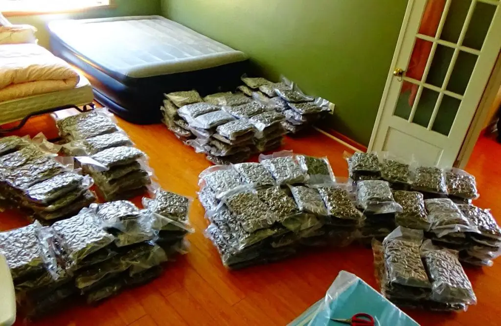 Dried & Packaged Illegal Cannabis