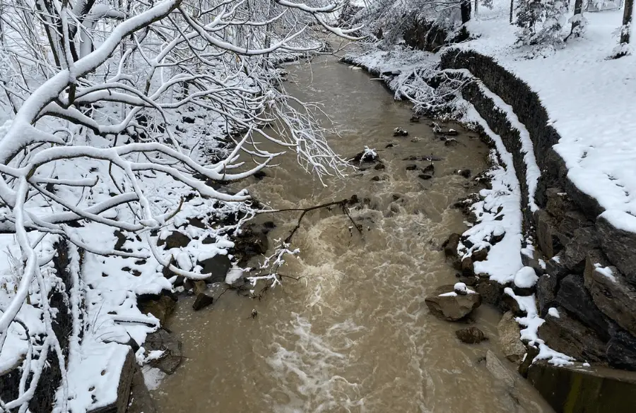 Forty Creek in December